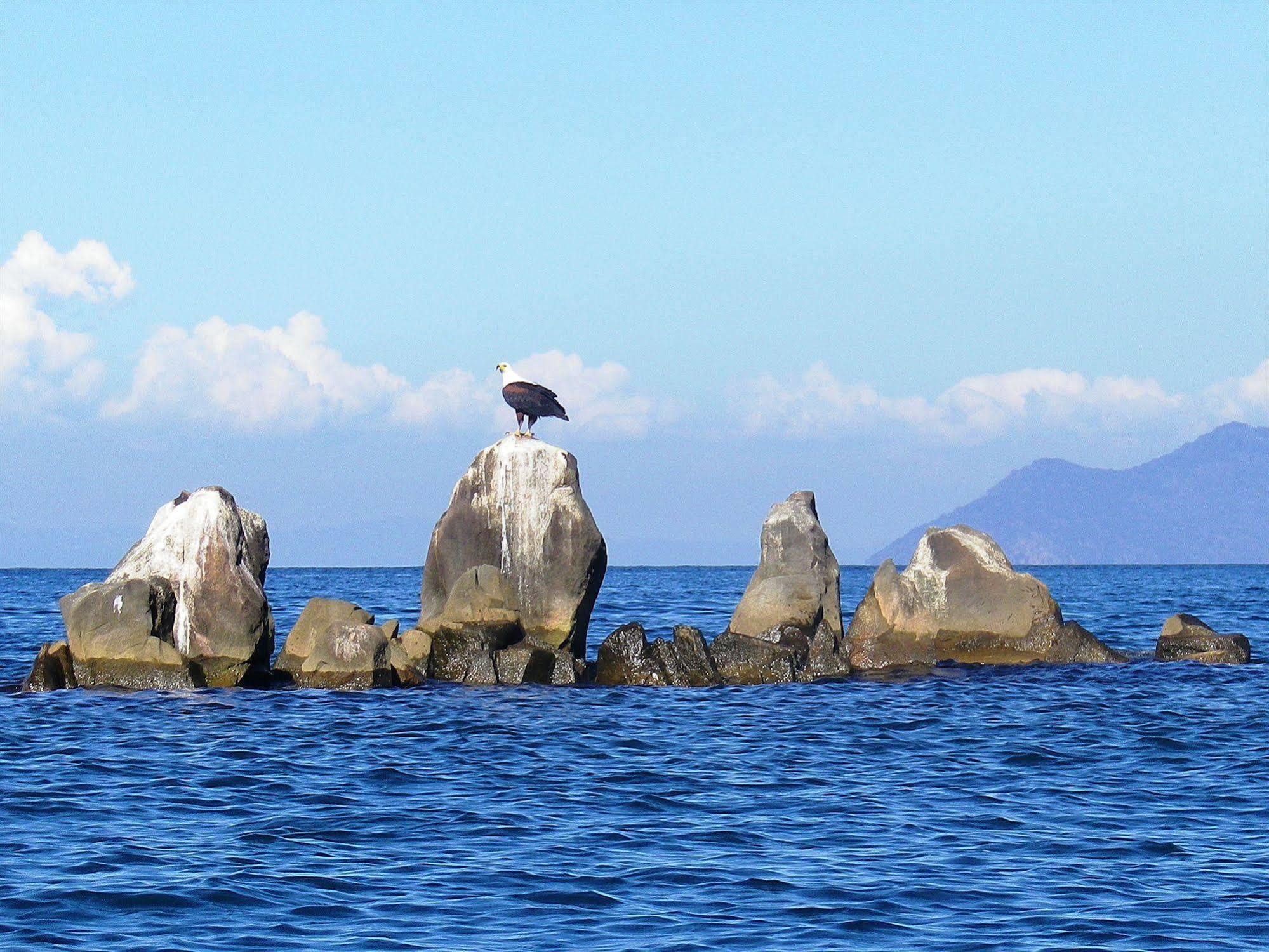 Blue Zebra Island Lodge Senga Dış mekan fotoğraf